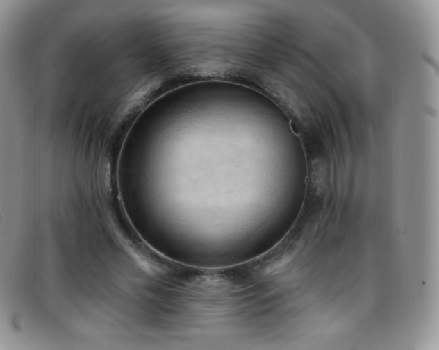 X0000096680589200802051248