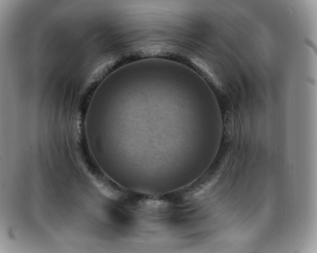 X0000096680590200802051248