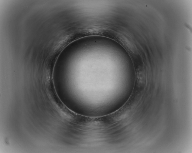 X0000096680593200802051248