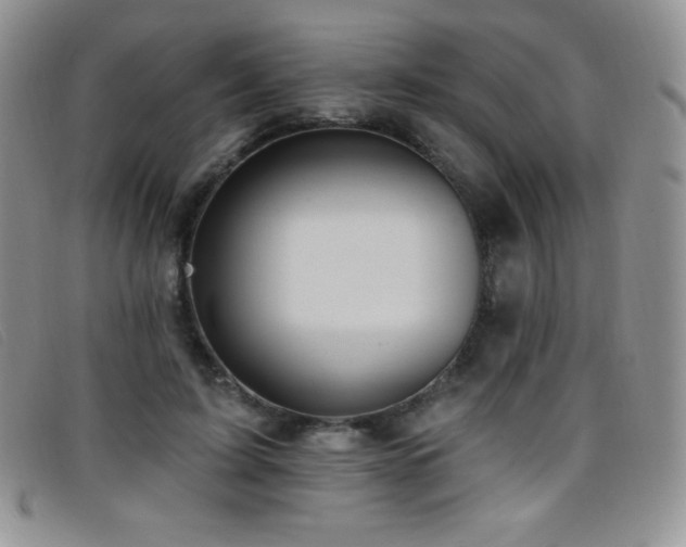 X0000096680595200802051248