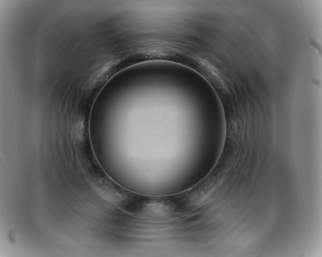 X0000096680596200802051248