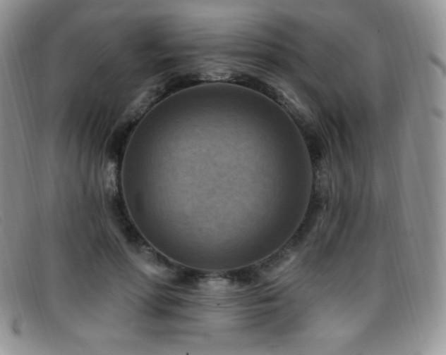 X0000096680598200802051248