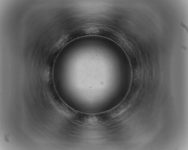 X0000096680600200802051248