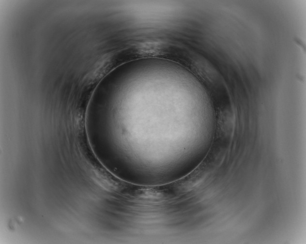X0000096680601200802051248