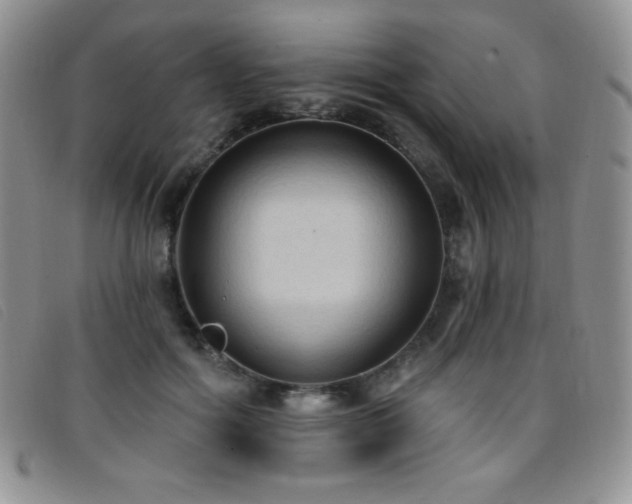 X0000096680602200802051248