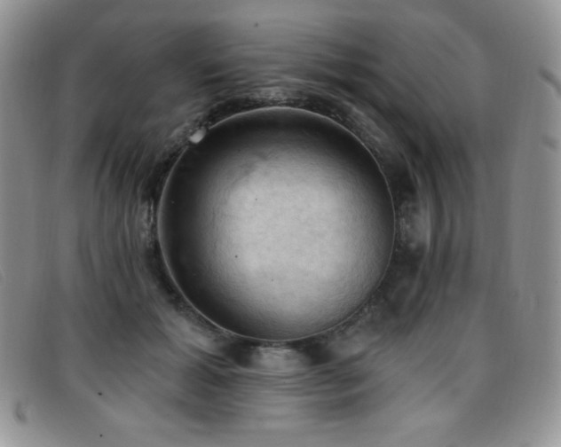 X0000096680605200802051248