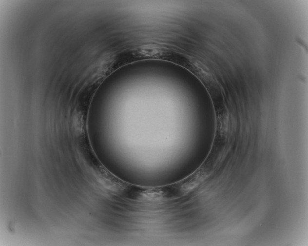 X0000096680606200802051248