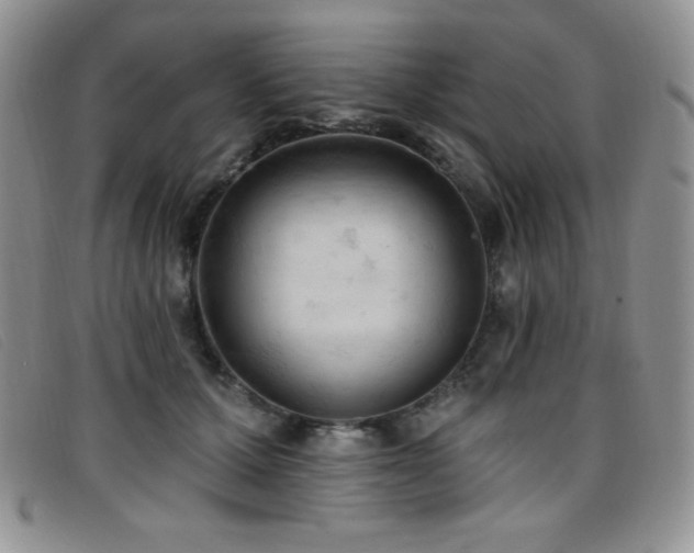 X0000096680607200802051247