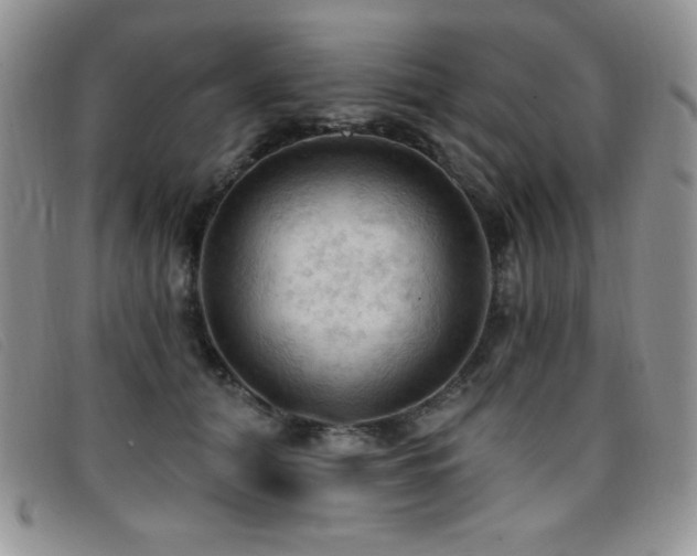 X0000096680608200802051247