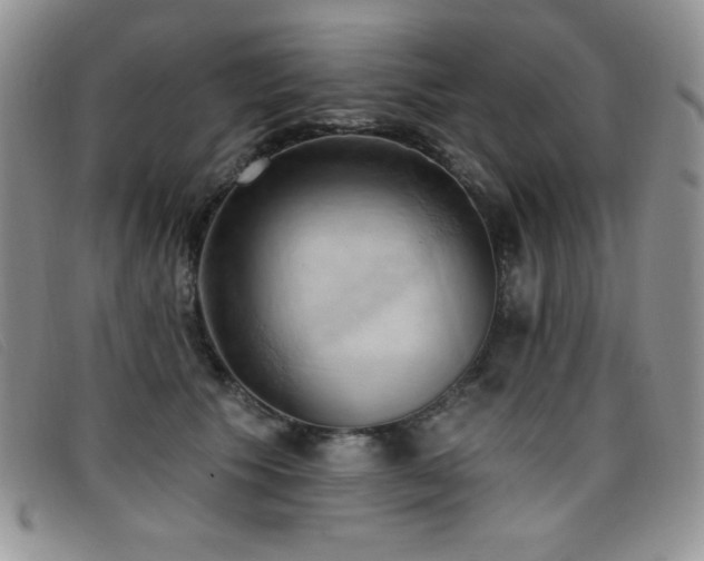 X0000096680609200802051247