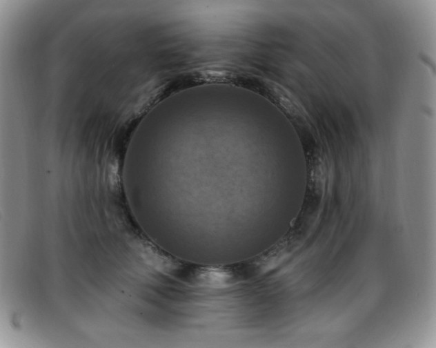 X0000096680610200802051247