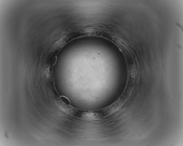 X0000096680611200802051247