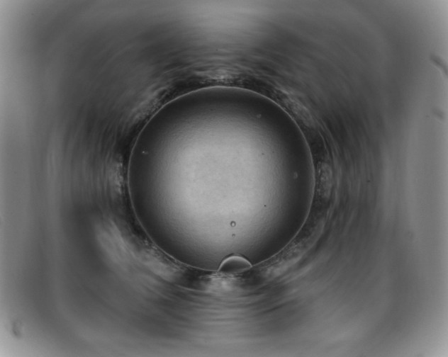 X0000096680612200802051247