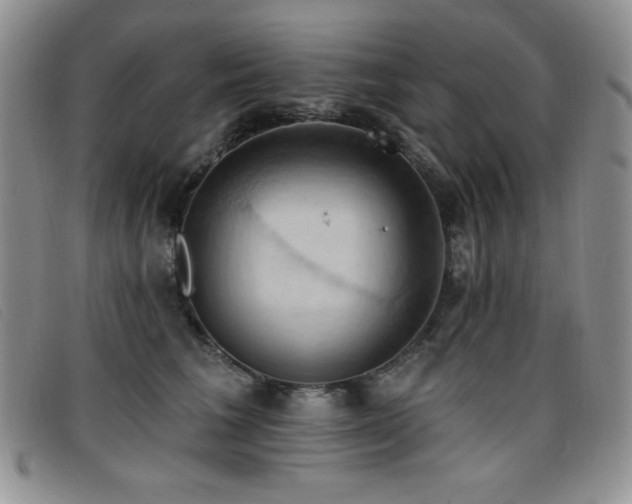 X0000096680613200802051247