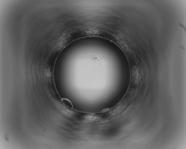 X0000096680614200802051247