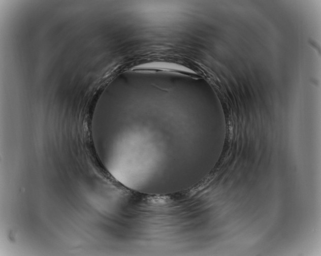 X0000096680618200802051247