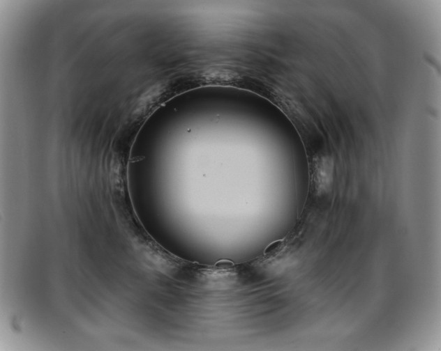 X0000096680619200802051247