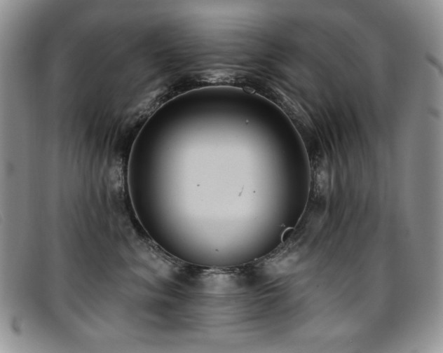 X0000096680620200802051247
