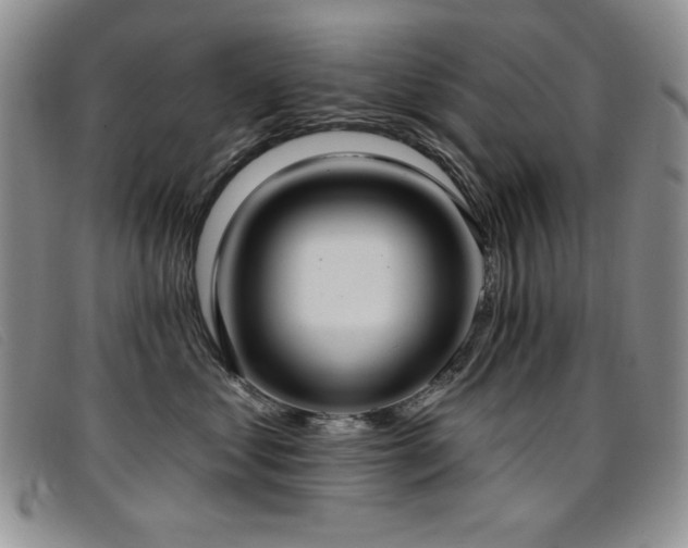 X0000096680621200802051247