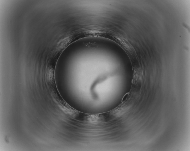X0000096680623200802051247