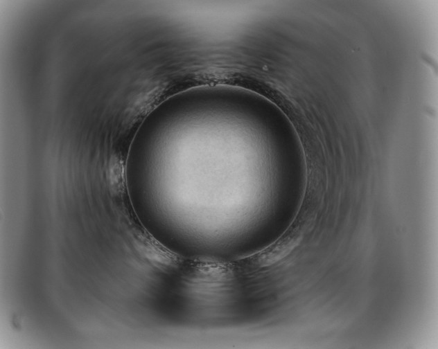 X0000096680624200802051247