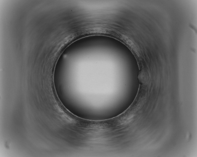 X0000096680625200802051246