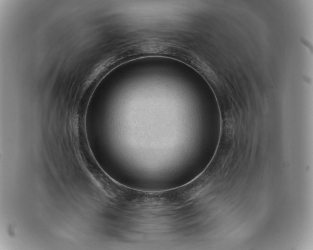 X0000096680626200802051246