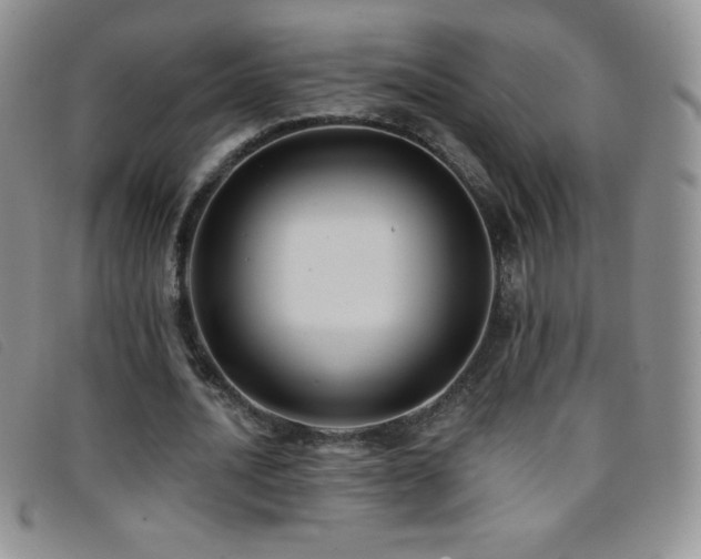 X0000096680628200802051246