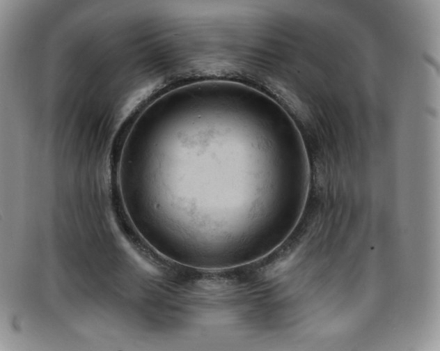 X0000096680630200802051246