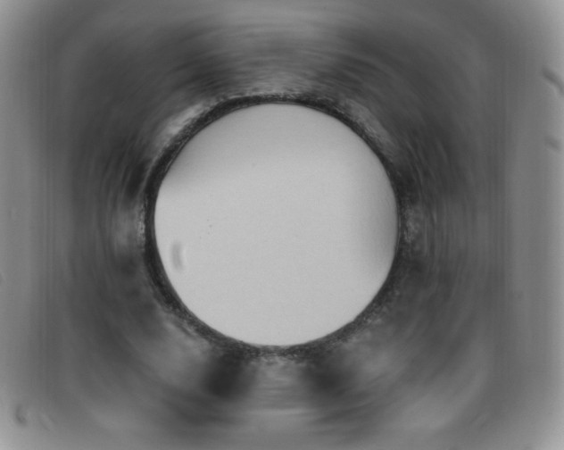 X0000096680632200802051247