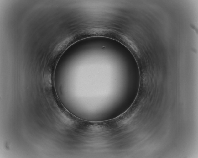 X0000096680633200802051247