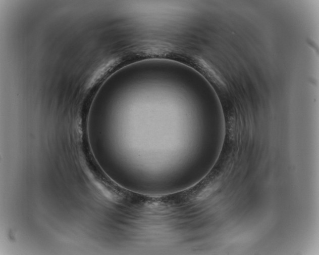 X0000096680634200802051247