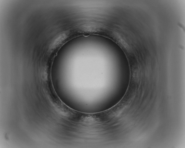 X0000096680635200802051247