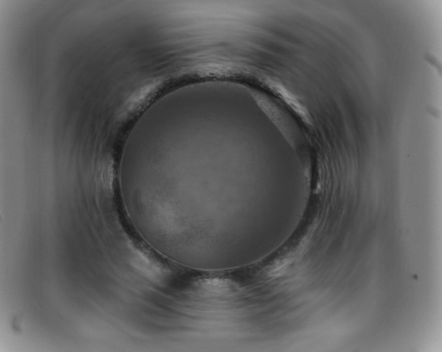 X0000096680637200802051247