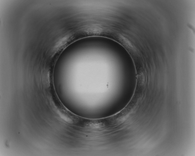 X0000096680638200802051247