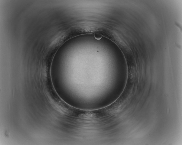 X0000096680639200802051247