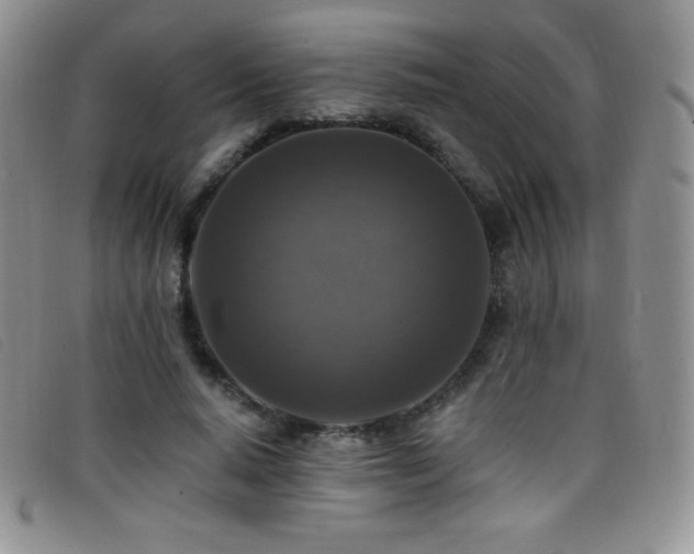 X0000096680640200802051247