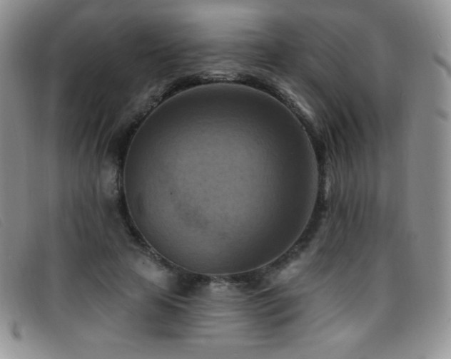 X0000096680641200802051247