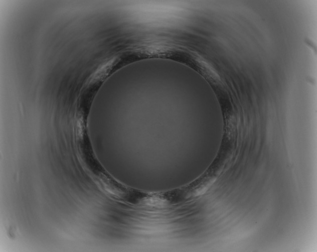X0000096680644200802051247