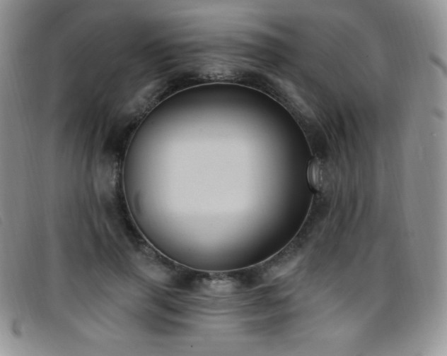 X0000096680645200802051247