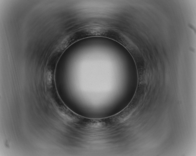 X0000096680646200802051247