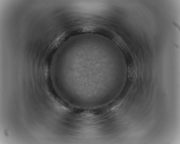 X0000096680648200802051247