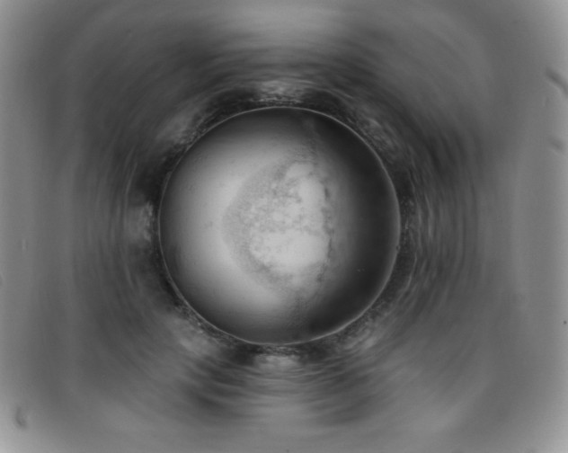 X0000096680649200802051247