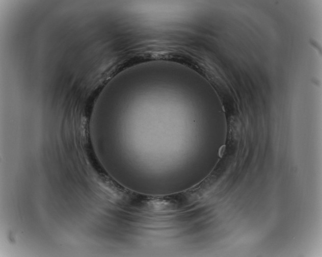 X0000096680650200802051247