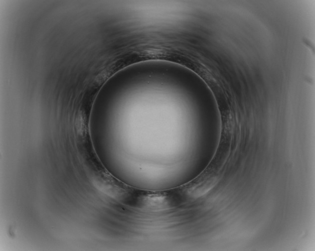 X0000096680651200802051247