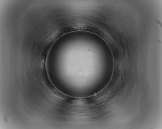 X0000096680652200802051247