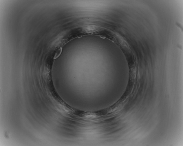 X0000096680653200802051247
