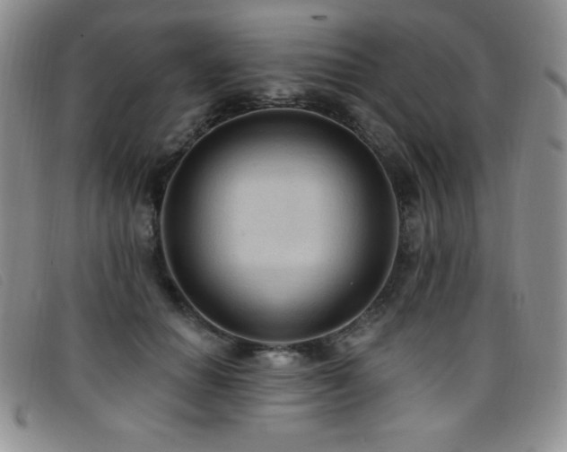 X0000096680654200802051247