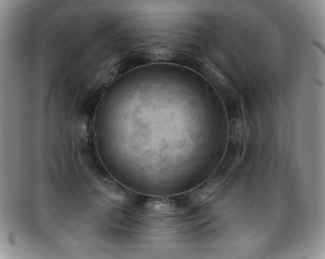X0000096680655200802051247