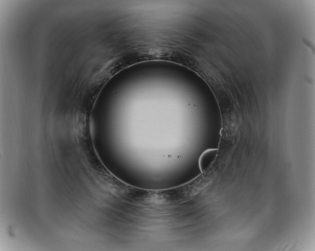 X0000096680656200802051247